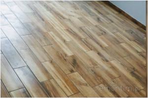 FZZZ1firma-remontowa-sosnowiec-katowice-malowanie-natryskowe-remonty-mieszkan-gladzie-malowanie-scian-agregatem-wykonczenia-Remontim001-FIRMA-REMONTOWA-SOSNOWIEC-REMONTI1 (54) 1