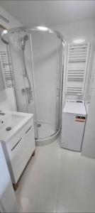 AZZZ1firma-remontowa-sosnowiec-katowice-malowanie-natryskowe-remonty-mieszkan-gladzie-malowanie-scian-agregatem-wykonczenia-Remontim001-FIRMA-REMONTOWA-SOSNOWIEC-REMONTIm biała łazienka