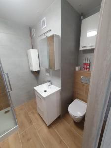 AZZZ1firma-remontowa-sosnowiec-katowice-malowanie-natryskowe-remonty-mieszkan-gladzie-malowanie-scian-agregatem-wykonczenia-Remontim001-FIRMA-REMONTOWA-SOSNOWIEC-REMONTI1 (11) 1 łazienka 3