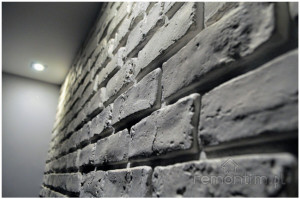 XZZZ1firma-remontowa-sosnowiec-katowice-malowanie-natryskowe-remonty-mieszkan-gladzie-malowanie-scian-agregatem-wykonczenia-Remontim001-FIRMA-REMONTOWA-SOSNOWIEC-REMONTI1 (207) 1