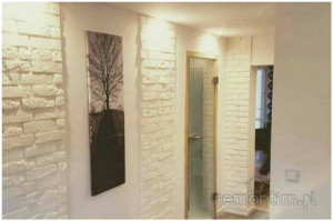 XZZZ1firma-remontowa-sosnowiec-katowice-malowanie-natryskowe-remonty-mieszkan-gladzie-malowanie-scian-agregatem-wykonczenia-Remontim001-FIRMA-REMONTOWA-SOSNOWIEC-REMONTI1 (209) 1